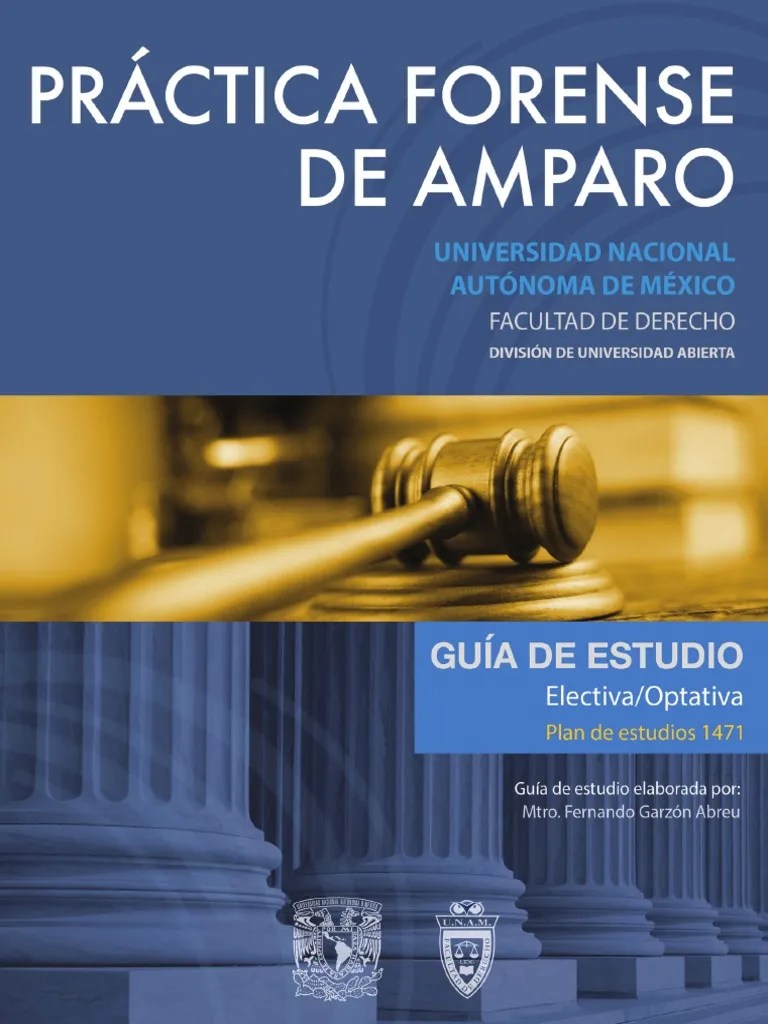 Guia Practica Forense Amparo | PDF | Ley Procesal | Derecho Constitucional