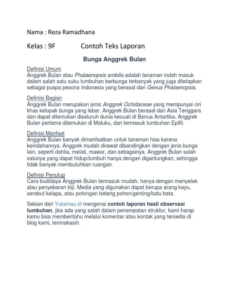 Contoh Teks Hasil Observasi Tentang Tumbuhan – Berbagai Contoh