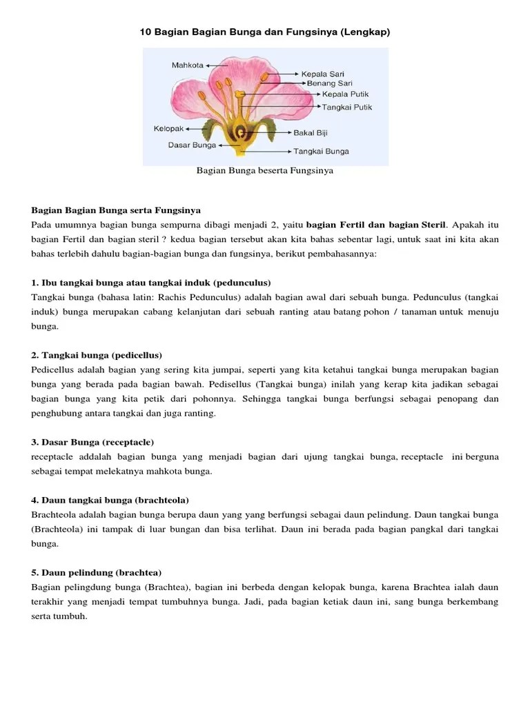Gambar Bunga Beserta Fungsinya