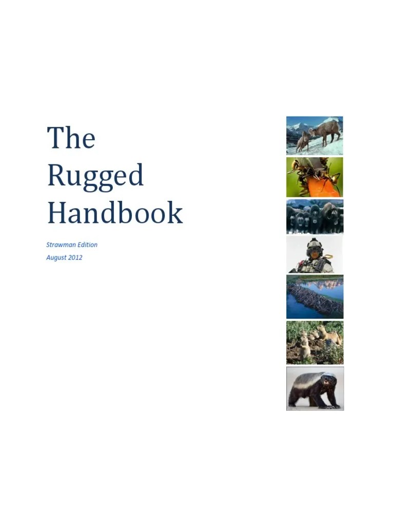 The Software Vulnerability Guide | PDF | Vulnerability (Computing) | Computer Security