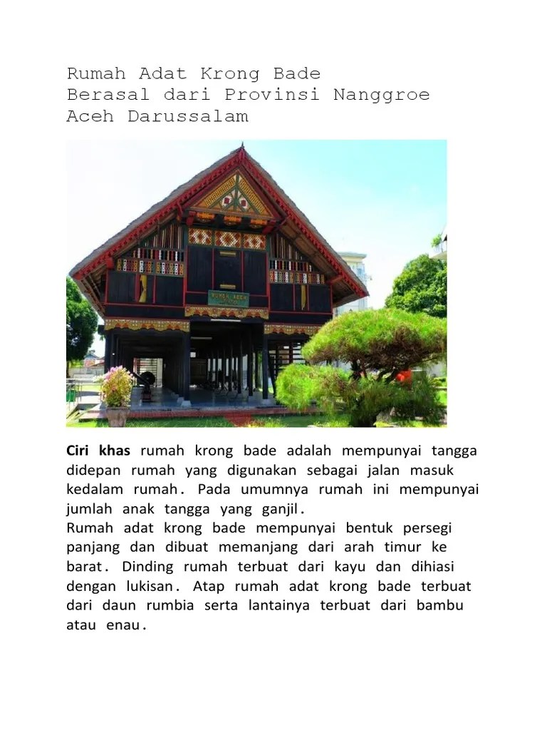Spesial 18+ Gambar Rumah Adat Krong Bade