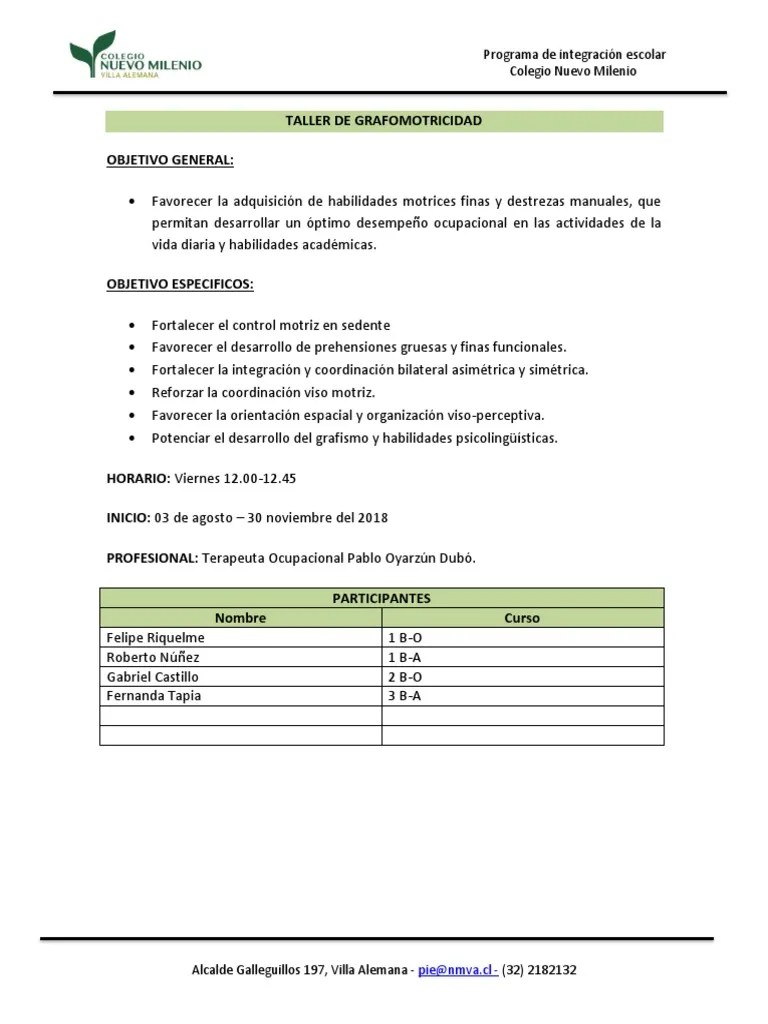 Taller De Grafomotricidad | PDF | Mano