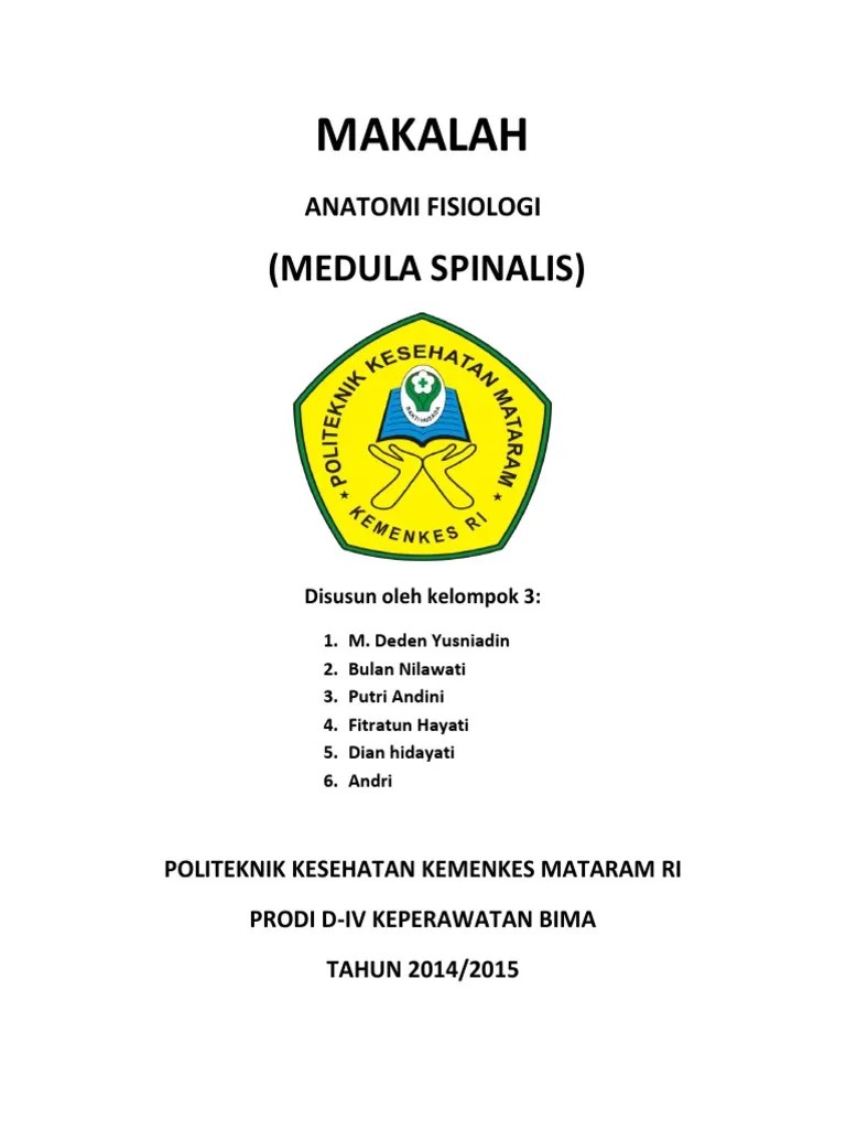 Fungsi Medula Spinalis | PDF