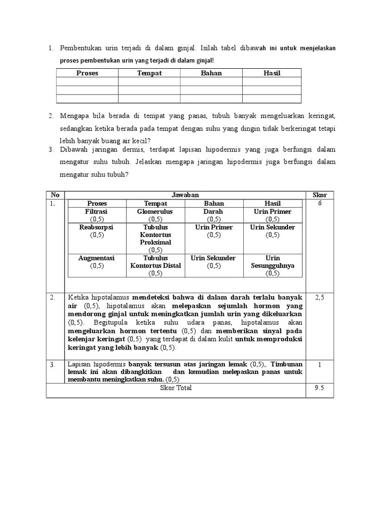 Jelaskan Apa Yang Terjadi Pada Tubuh Apabila Kita Tidak Mengeluarkan