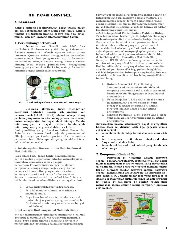 Handout Sel - Kls X GNP | PDF