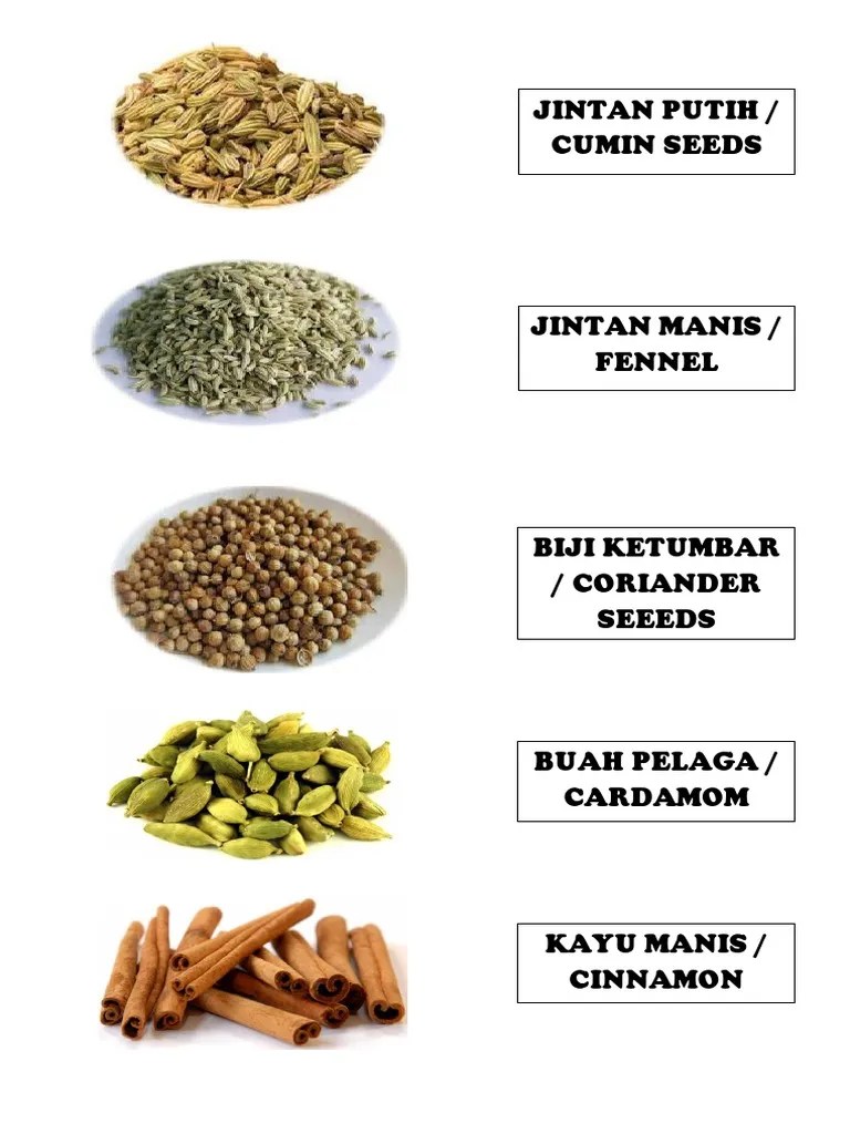 Jintan manis (carum carvi) dan jintan putih (cuminum cyminum) adalah sejenis herba yang dihasilkan oleh dua jenis tumbuhan dari keluarga . Rempah Pdf