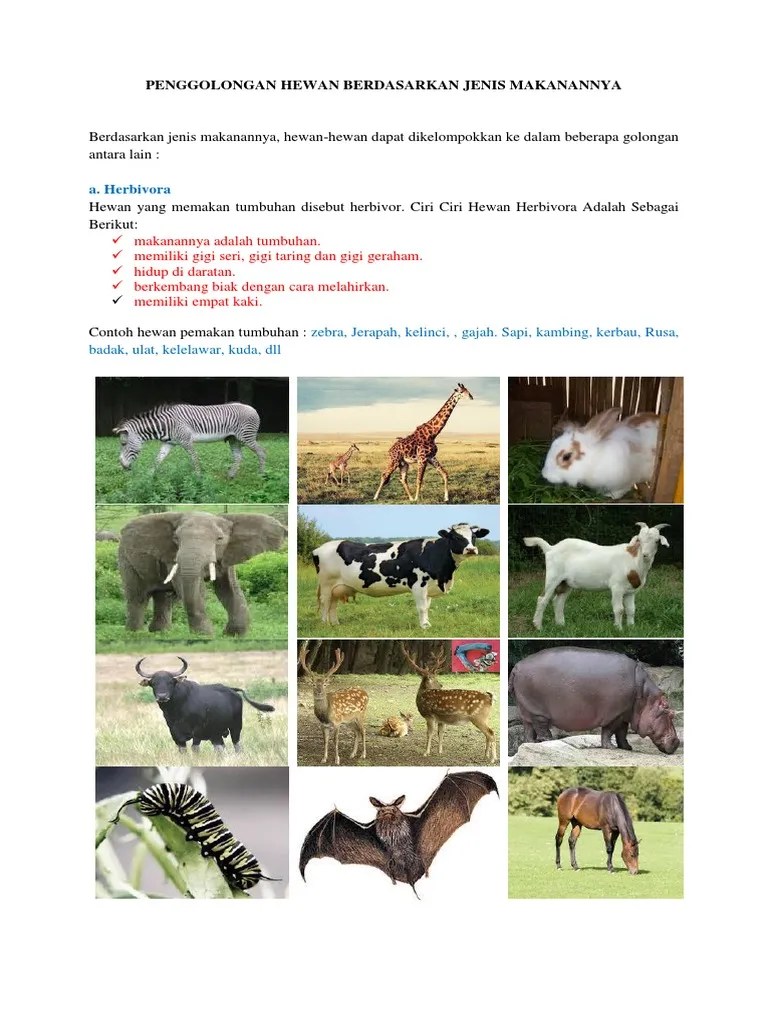 Penggolongan Hewan Berdasarkan Jenis Makanan | PDF