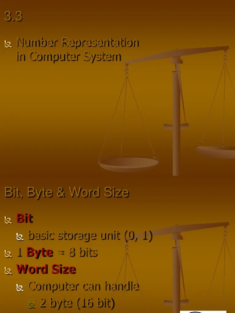 Number Representation In Computer System | PDF