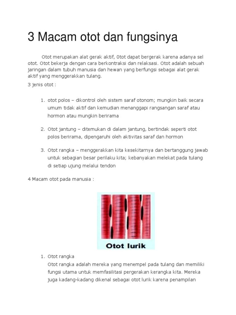 Alat gerak hewan dalam air adalah sirip dan propulsi atau semprota. Jaringan Pada Hewan Yang Berfungsi Sebagai Alat Gerak ...