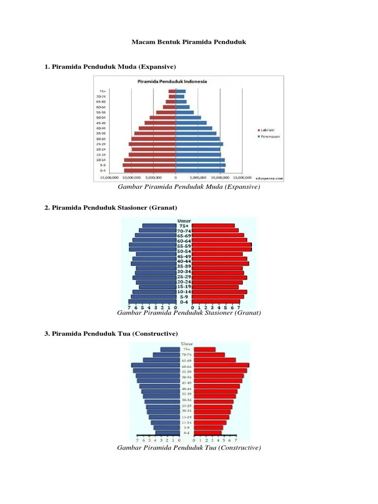 Piramida penduduk yang satu ini menggambarkan tingkat penduduk dengan . Macam Bentuk Piramida Penduduk Pdf