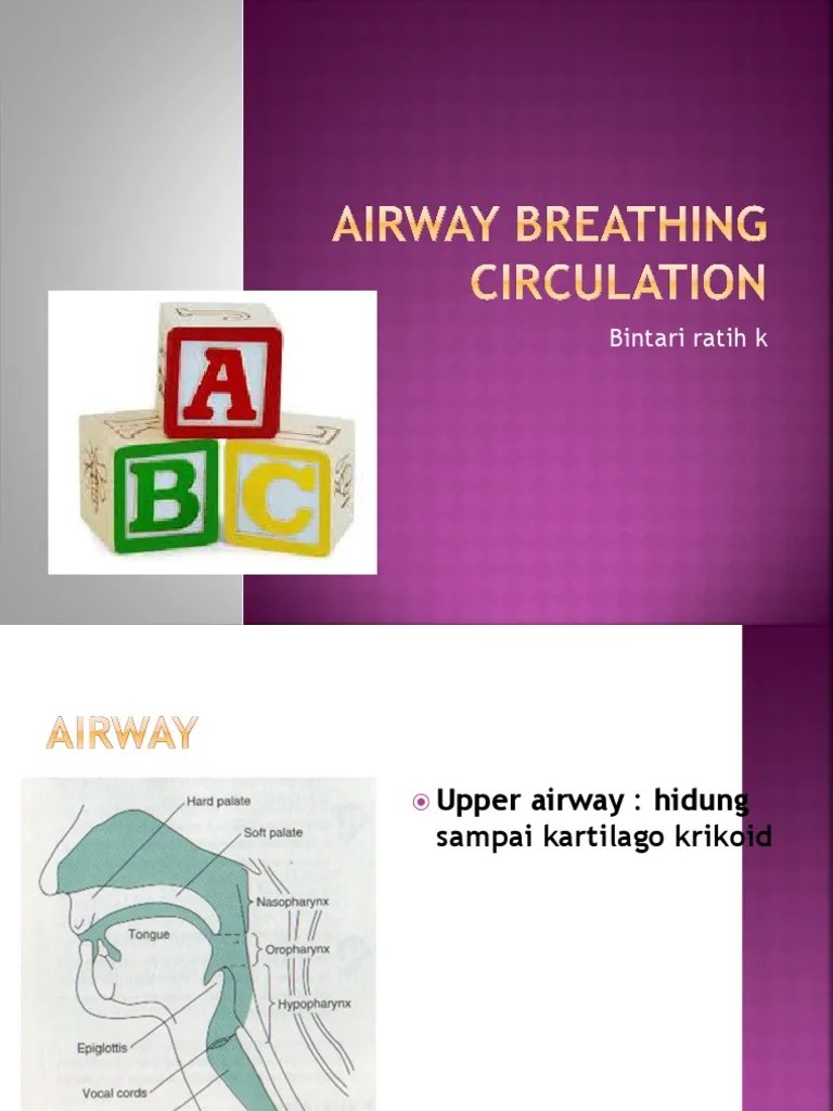 Airway Breathing Circulation | PDF