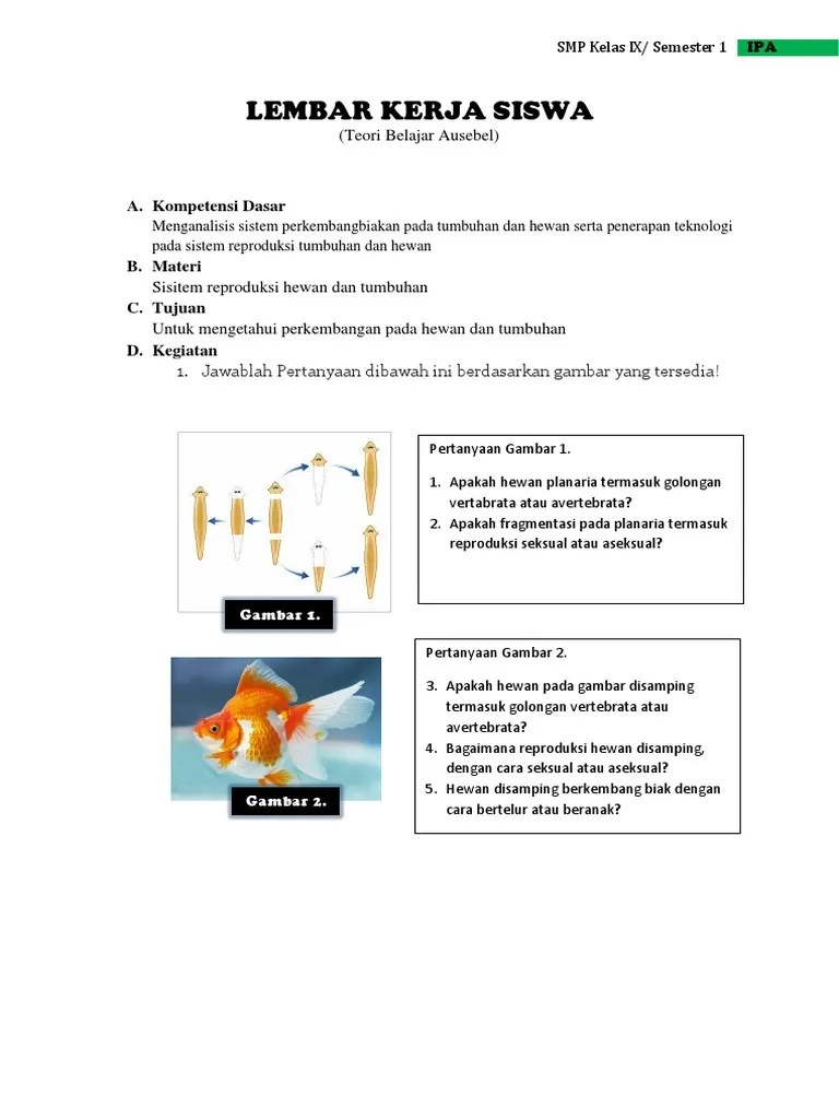 Perhatikan gambar di bawah ini. Lks Berbasis Teori Belajar Ausebel Pdf