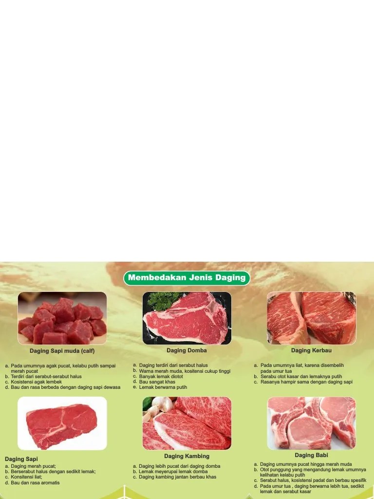 Jenis Daging | PDF