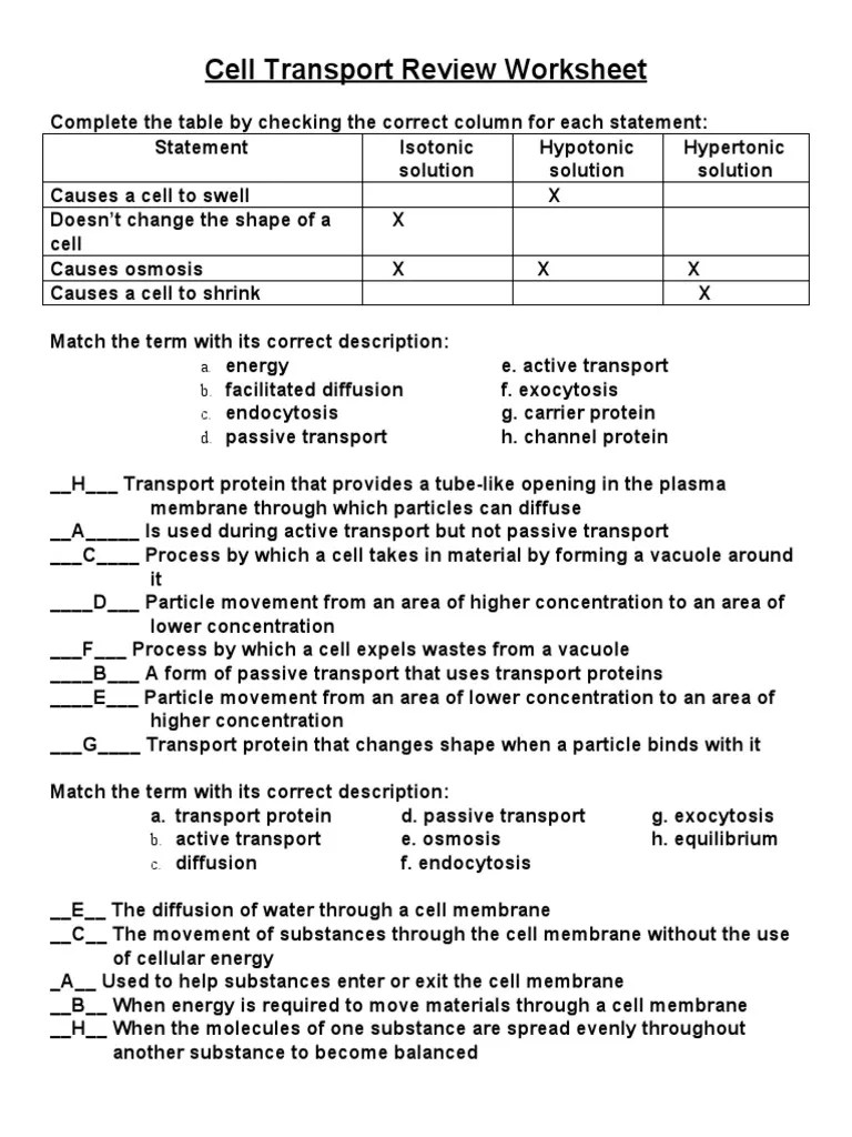 4 differentiated worksheet versions (see note), answer keys, teacher notes . Cell Transport Review Worksheet Pdf Osmosis Cell Membrane