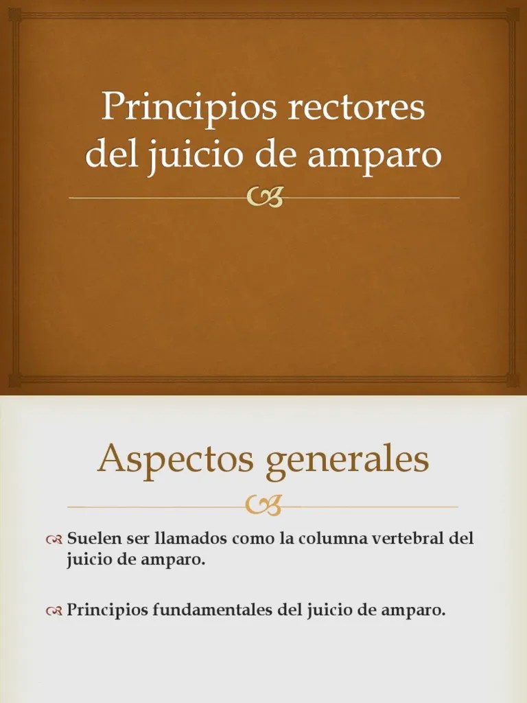 Principios Fundamentales Del Juicio De Amparo | PDF | Caso De Ley ...