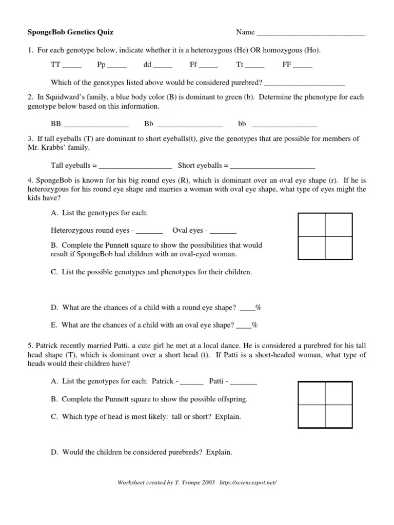 Spongebob genetics dihybrid answer keyall education. Spongebob Genetics Quiz Genotype Zygosity