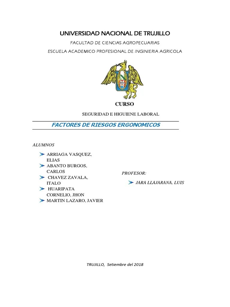 Riesgos Ergonomicos | PDF | Factores Humanos Y Ergonomía | Bienestar