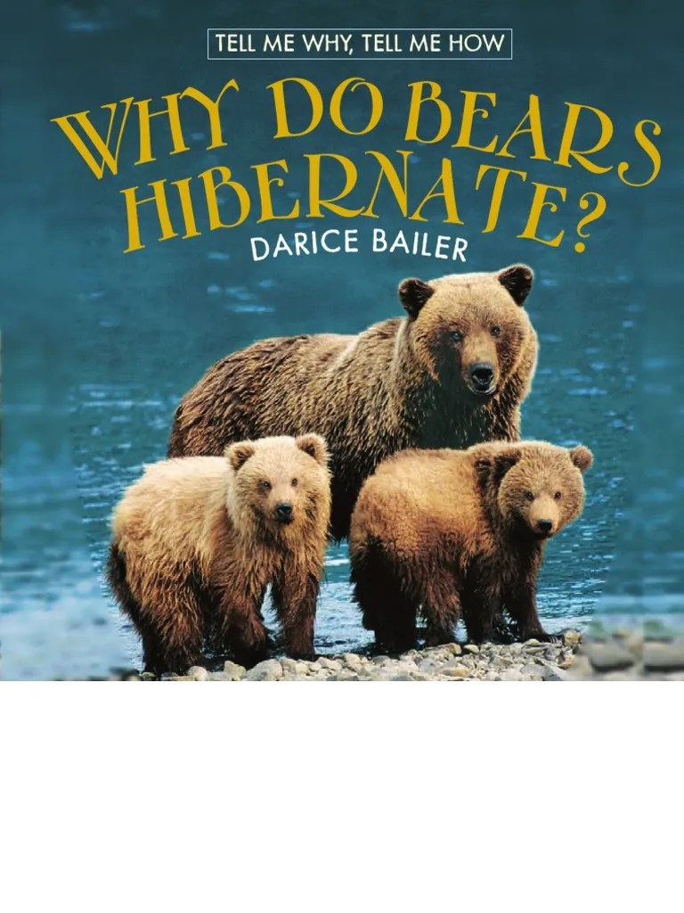 Why Do Bears Hibernate | PDF | Bears | Polar Bear