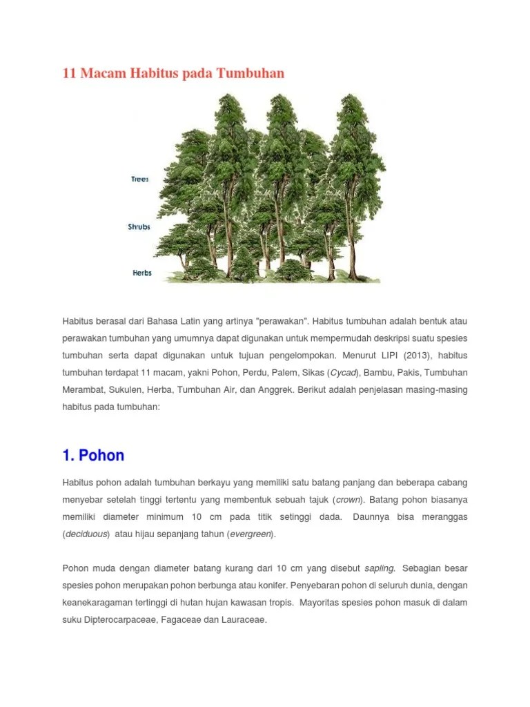 11 Macam Habitus Pada Tumbuhan | PDF