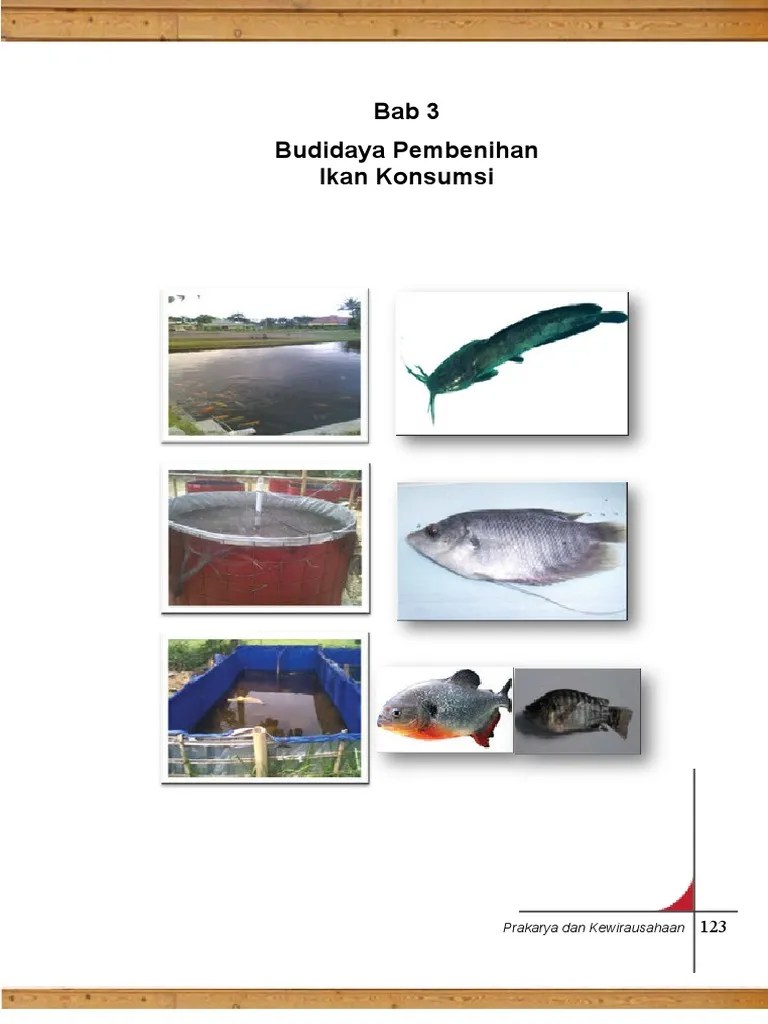 Budi Daya Ikan Konsumsi Pdf 