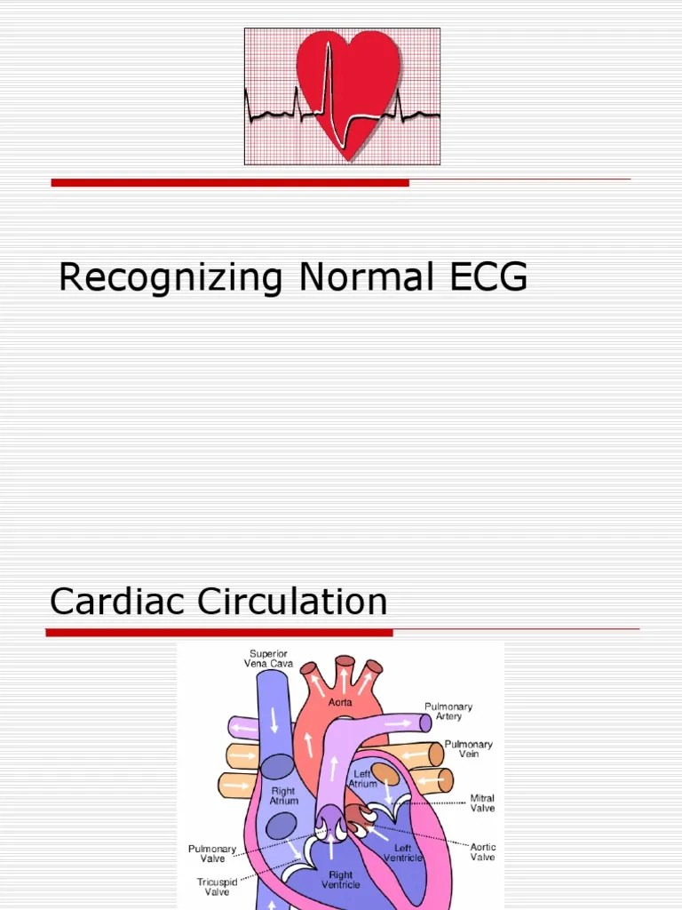 Recognizing Normal ECG | PDF | Electrocardiography | Artificial Cardiac Pacemaker
