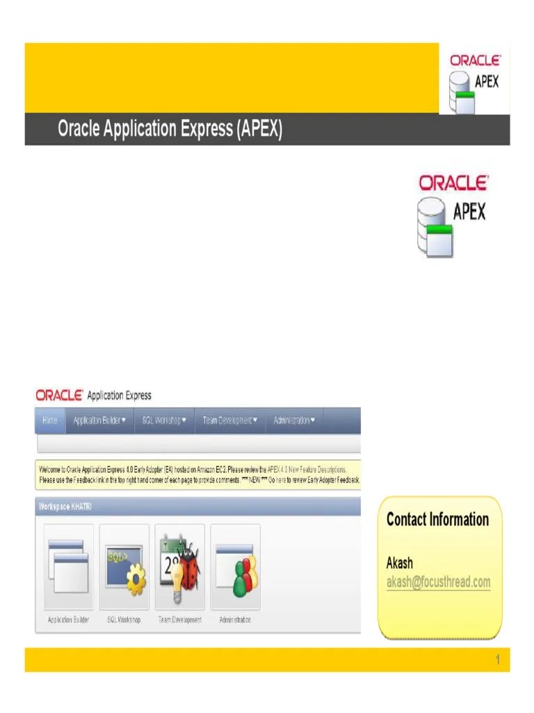 Best Practices Apex | PDF | Oracle Database | Web Application