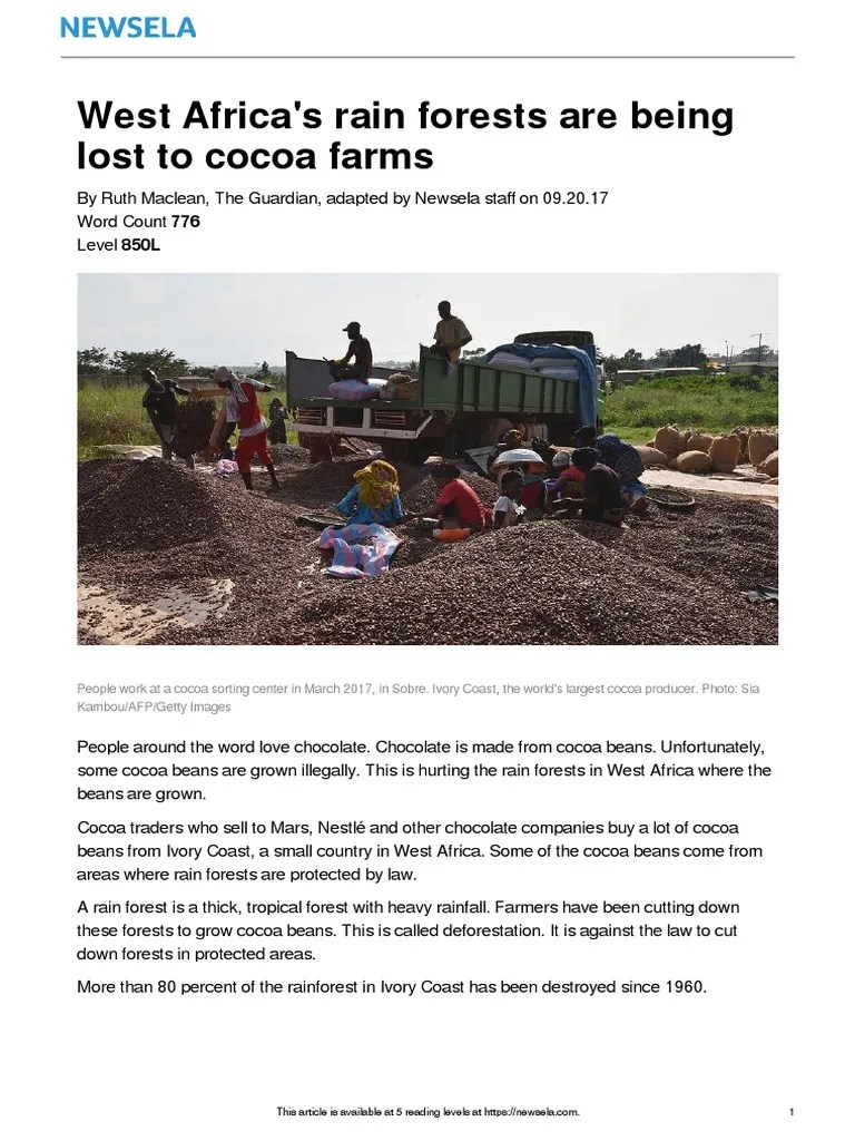 Deforestation Cocoa | PDF | Cocoa Bean | Chocolate