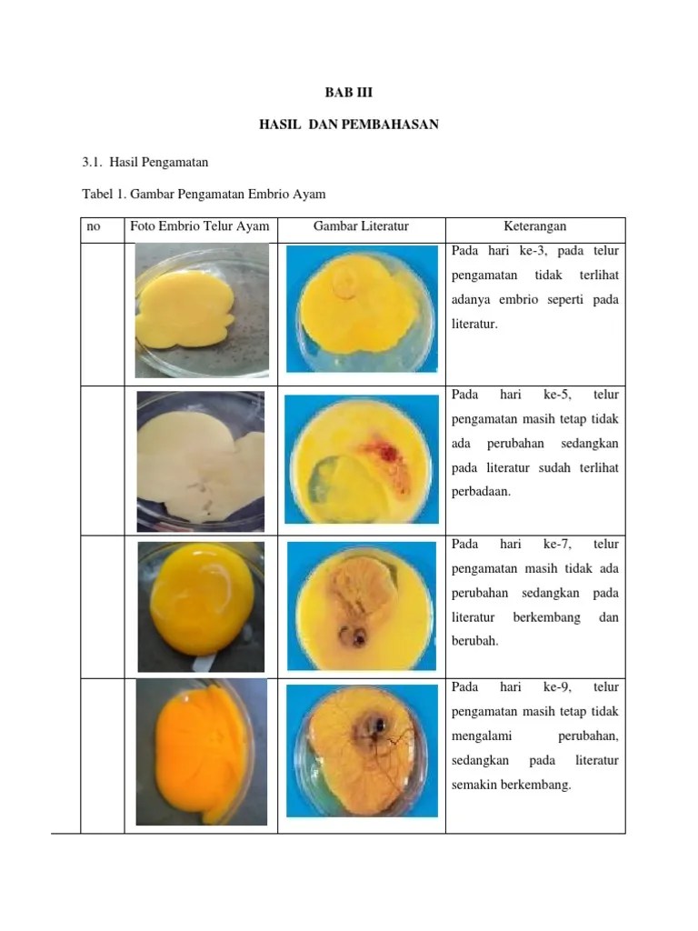BAB III Embrio | PDF