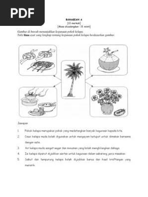 Contoh Ulasan Tentang Kegunaan Pokok Kelapa Sawit / Pokok Kelapa Pdf