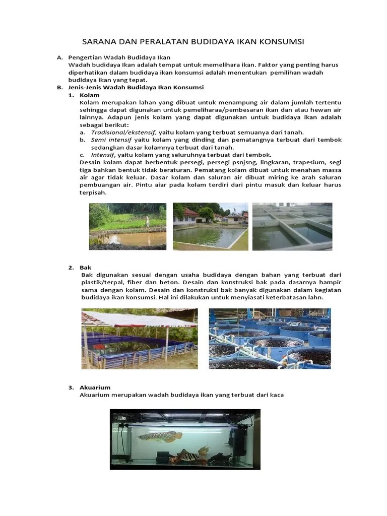 Wadah Budidaya Ikan Konsumsi - InfoAkuakultur.com