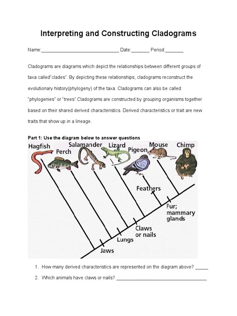 constructing a cladogram worksheet answers