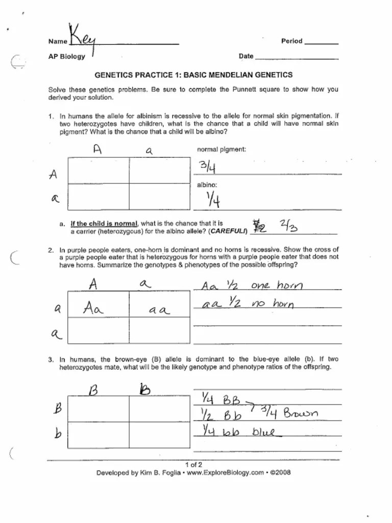 Can be predicted punnett squares show possible outcomes for inheritance bill. Ans Genetic Problems Pdf