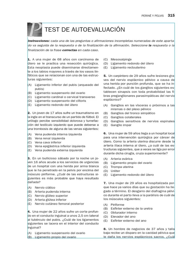 Anatomia Basica | PDF | Pelvis | Útero