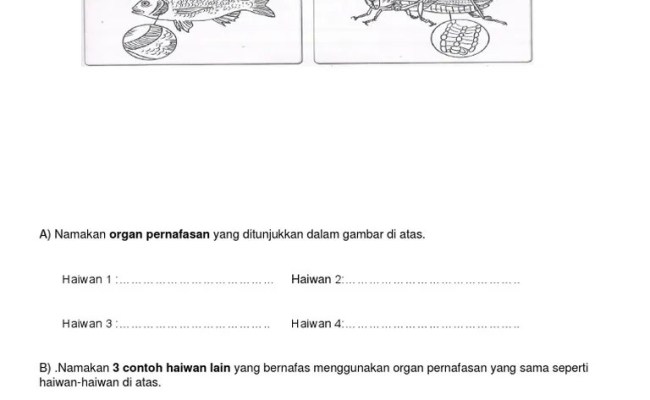 25.11.2020 · proses pengajaran dan pembelajaran yang berkesan akan menjadikan murid sebagai pereka bentuk yang membudayakan pemikiran kritis, kreatif, inovatif, inventif dan keusahawanan. Lembaran Kerja Sains Tahun 4 Docx Otosection