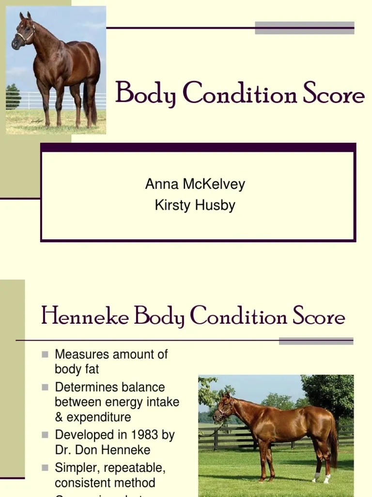 Equine Body Condition Score | PDF | Equus | Horses