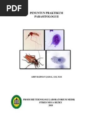 Laporan Trombosit | PDF