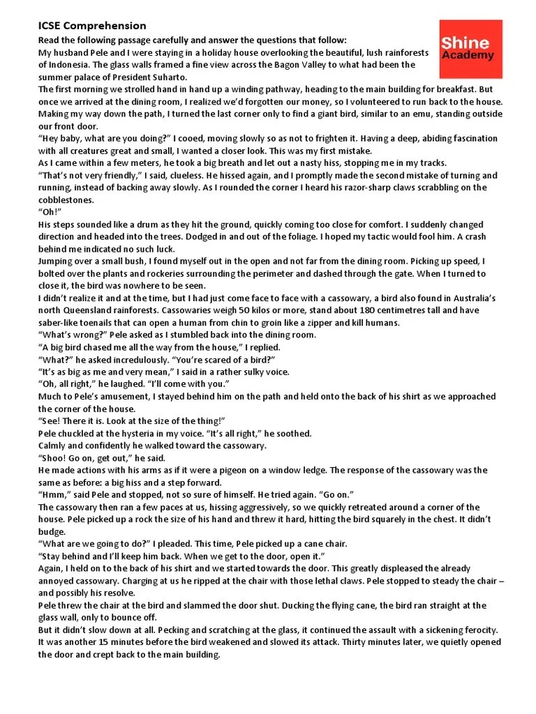 Reading Comprehension Questions Pdf Pdf Reading Comprehension Phrase - Ultra HD Sunset Arts for Desktop