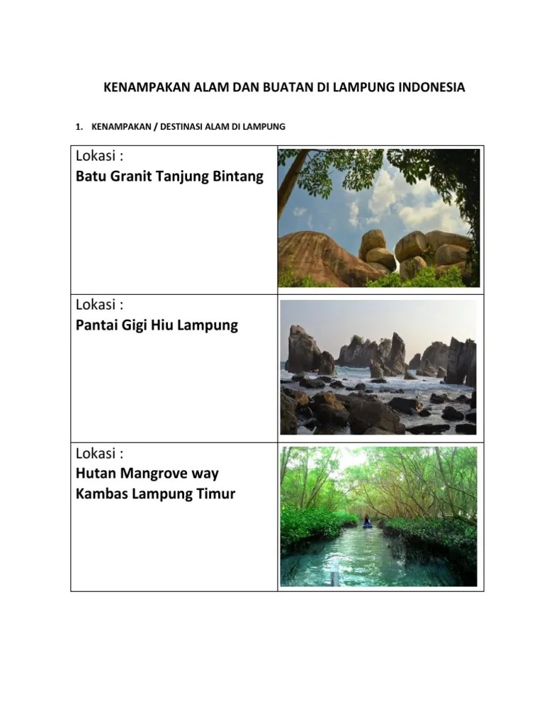 Sebagai contoh, tumbuhan yang berada di iklim tropis akan tumbuh subur . Kenampakan Alam Dan Buatan Di Lampung Indonesia Mbak Azra Pdf