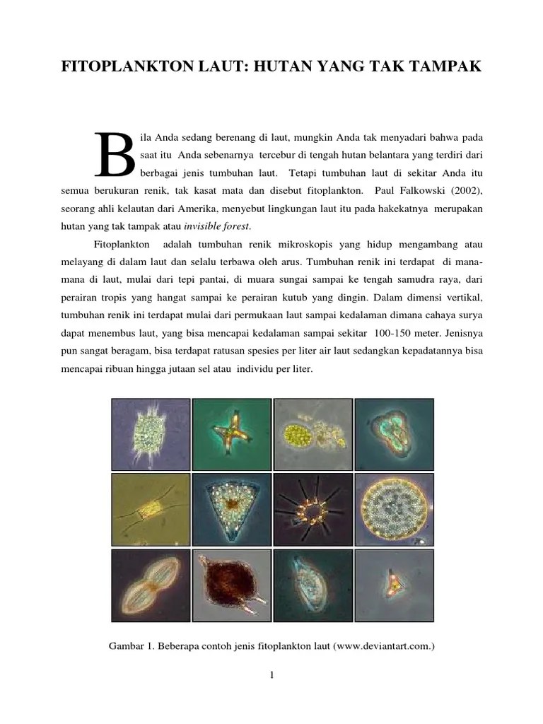 Fitoplankton | PDF