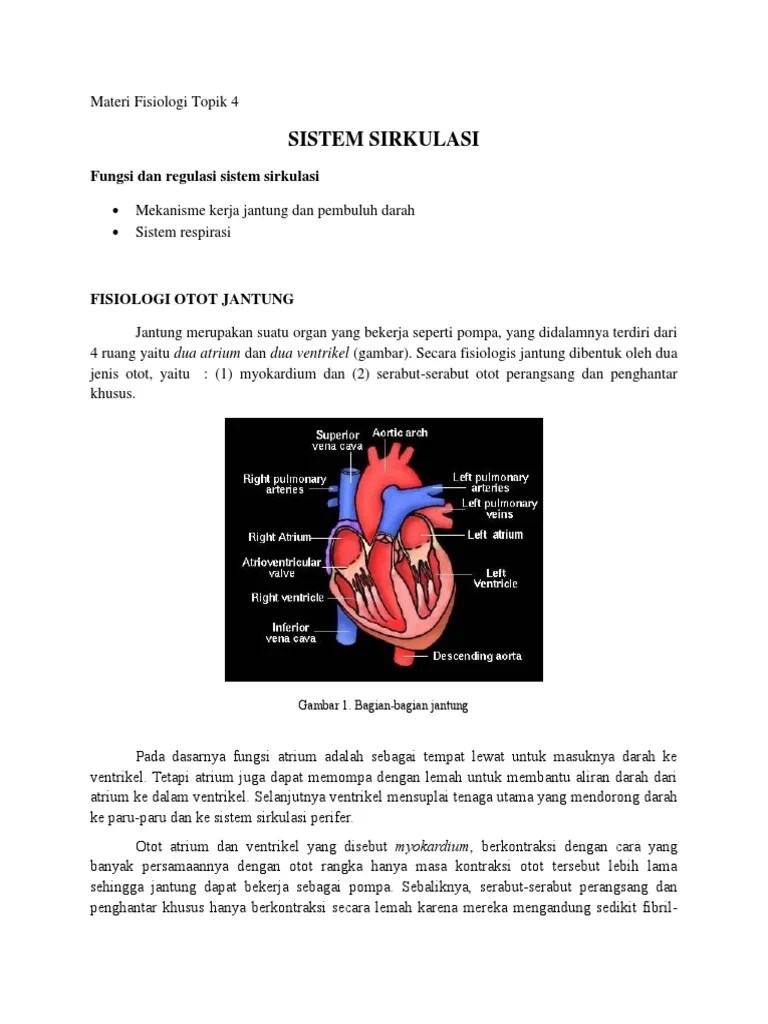 Materi Fisiologi Topik 4 Jantung Pembuluh Darah Dan Respirasi | PDF