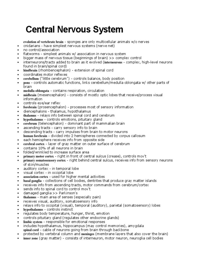 Central Nervous System Notes | PDF | Central Nervous System | Cerebrum