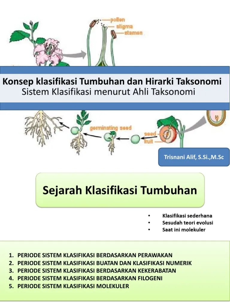 Sejarah Taksonomi | PDF