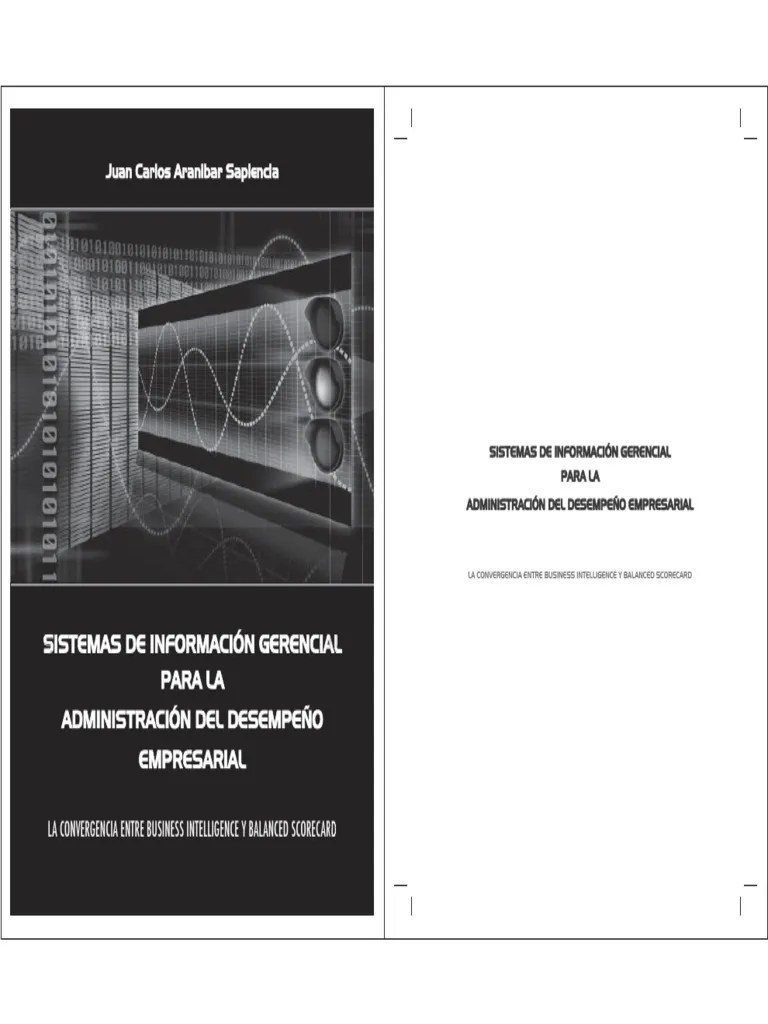 Sistemas De Información Gerencial PDF | PDF | Almacén De Datos | Maestros