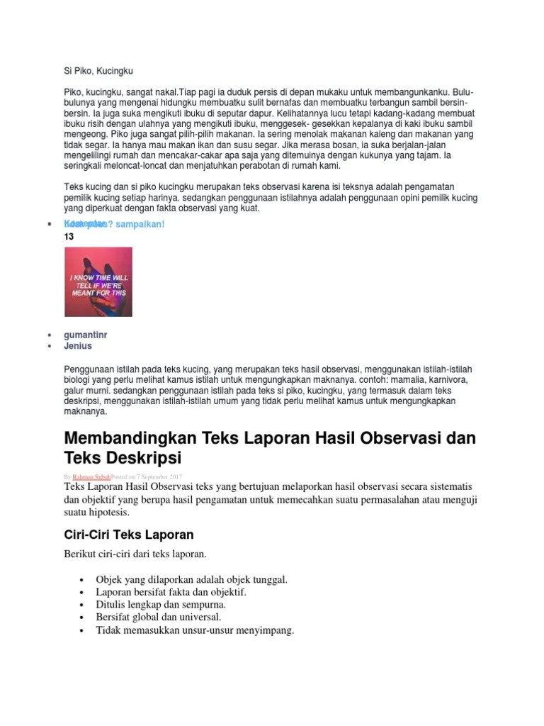 kucing termasuk kedalam golongan karnivora yakni hewan pemakan daging. Contoh Teks Laporan Hasil Observasi Hewan Kucing Singkat Nusagates