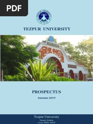 Prospectus 2019 Pdf Bachelor S Degree University And