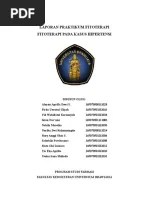 Laporan Praktikum Fitoterapi Gangguan Liver 1b | PDF
