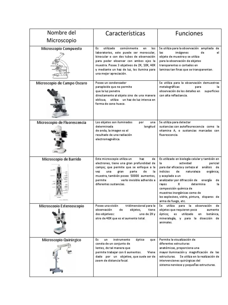 Tipos De Microscopios | PDF | Microscopio | Óptica
