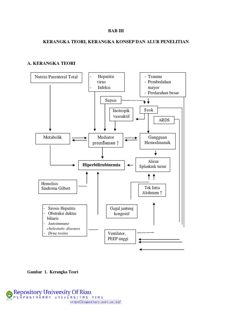 BAB III Kerangka Teori Dan Konsep | PDF