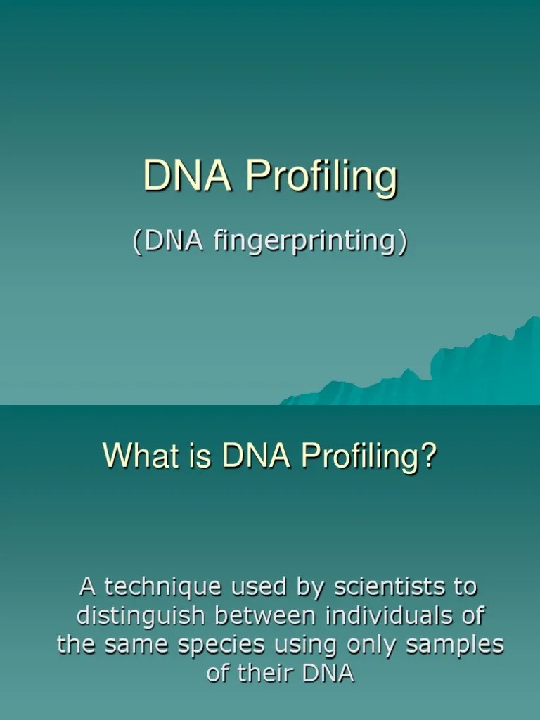 DNA Fingerprinting Powerpoint | PDF | Dna Profiling | Gel Electrophoresis
