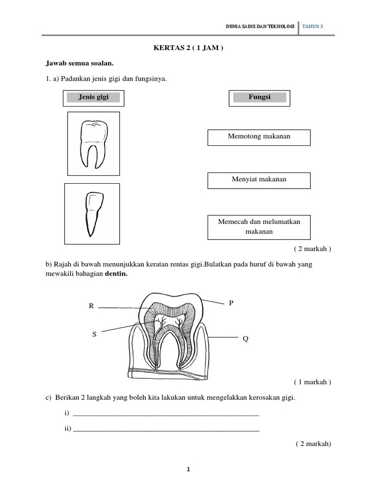 Soalan Sains Tahun 3  PDF.